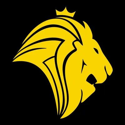 lionfitness.com.br's icon