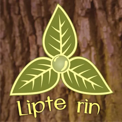 lipterin.com's icon