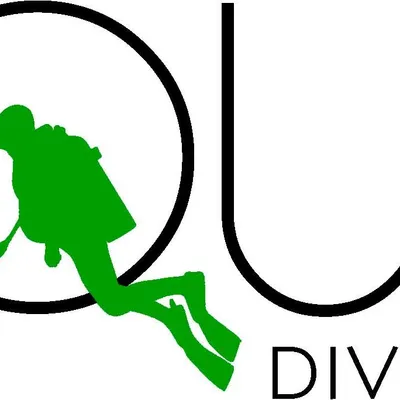 liquiddiveadventures.com's icon