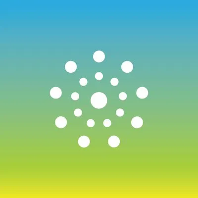 lit.com.br's icon