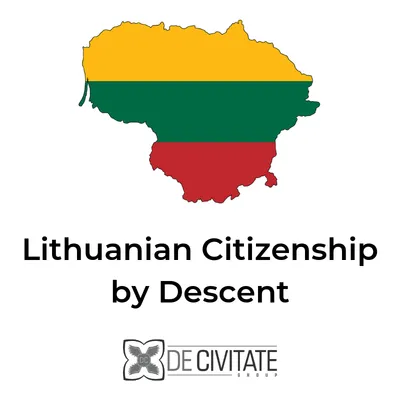 lithuaniancitizenship.com's icon