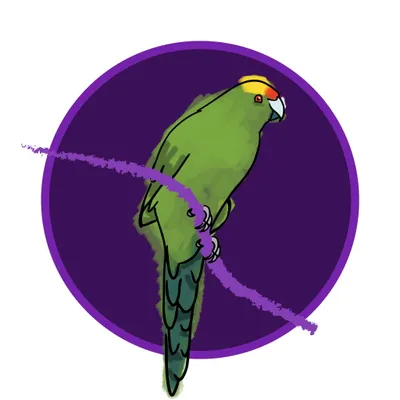 littleparrots.co.nz's icon