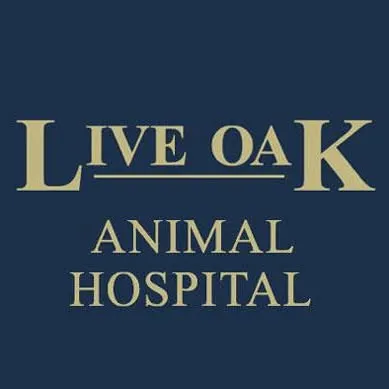 liveoakah.com's icon