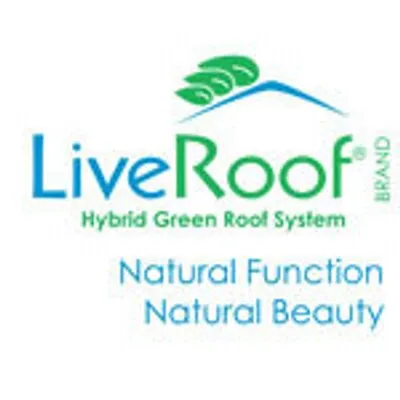 liveroof.com's icon