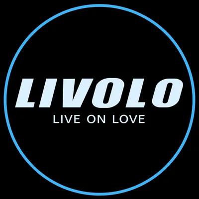 livolo.nl's icon