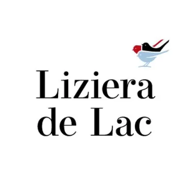 lizieradelac.ro's icon