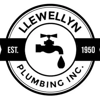 llewellynplumbing.com's icon
