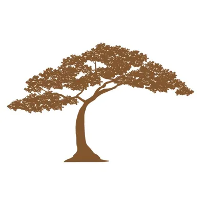 lmfsinc.com's icon