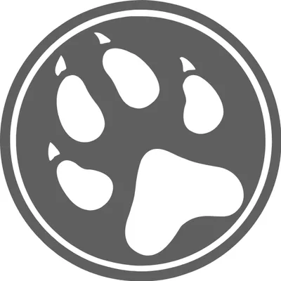 lobosolo.com.mx's icon