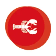 lobsterking.de's icon