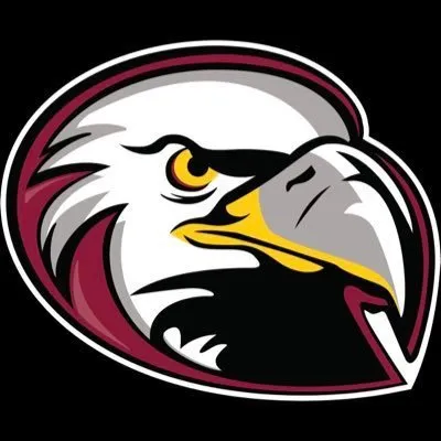 lockhavenathletics.com's icon