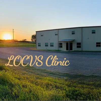 locvsclinic.com's icon