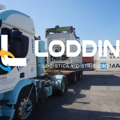 loddin.com.ar's icon