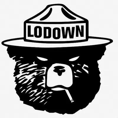 lodownmagazine.com's icon