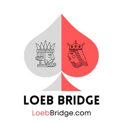 loebbridge.com's icon
