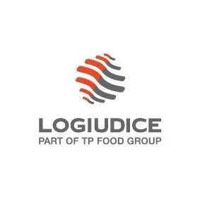 logiudiceforni.com's icon