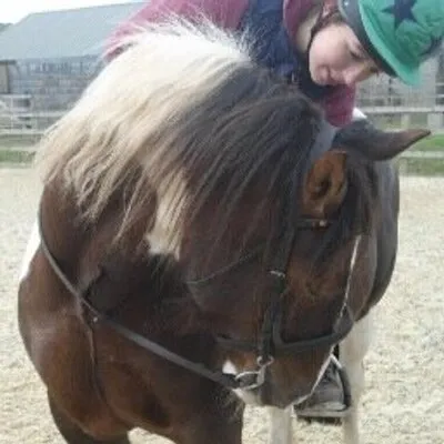 loniloftusbehaviour.com's icon