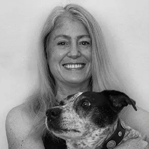 loripond.com's icon
