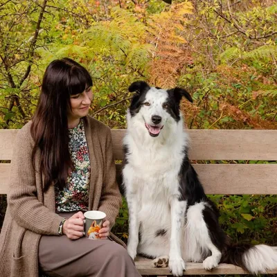 lorrainefletcherart.ie's icon