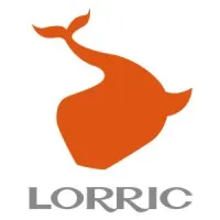 lorric.com's icon