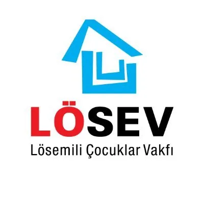 losev.org.tr's icon