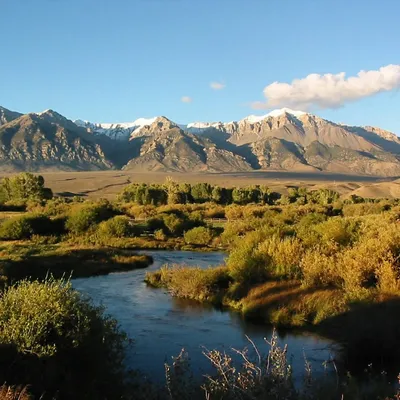 lostriveroutfitters.com's icon