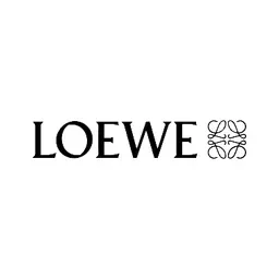loweoutlet.online's icon