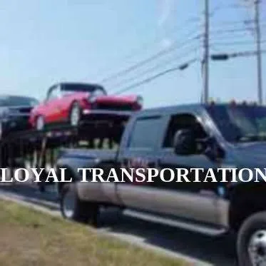 loyaltransport.com's icon