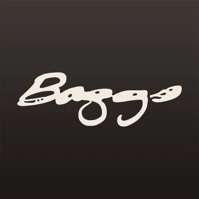lrbaggs.com's icon