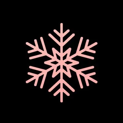 lrdsnow.app's icon