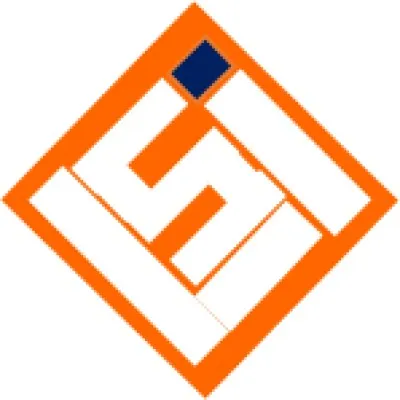 lsi-lsi.com's icon