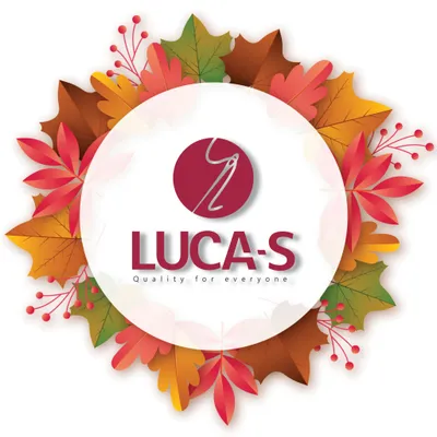 luca-s.com's icon