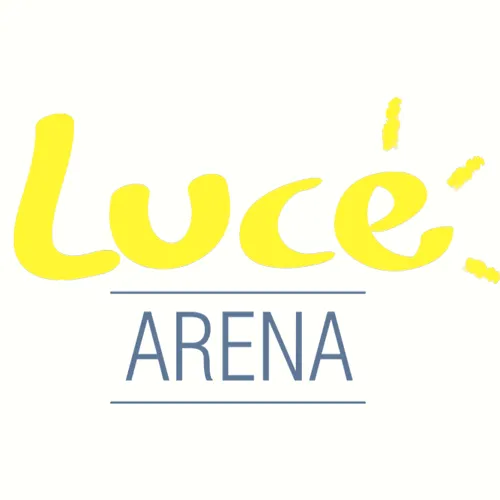 Fundacja Luce Stiftung