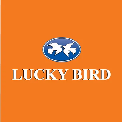 luckybirdgroup.com's icon