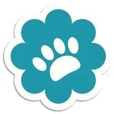 luckymobileslots.com's icon