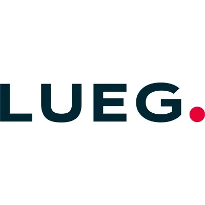 lueg.de's icon