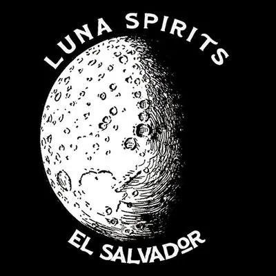 luna.com.sv's icon