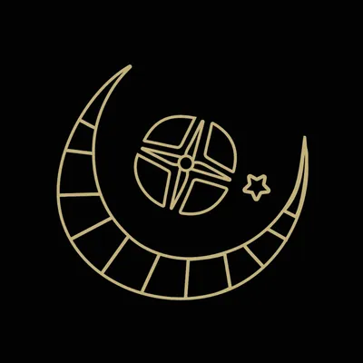 lunamerdin.com's icon