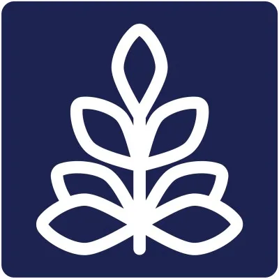 lupinestudios.com's icon