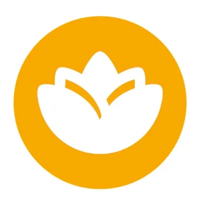 lutisautomotive.com's icon