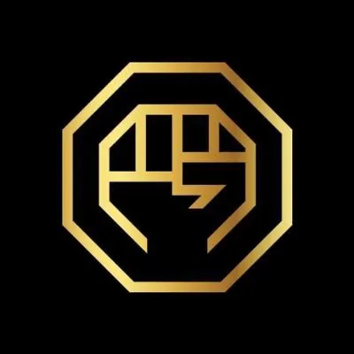 luxfightleague.com's icon