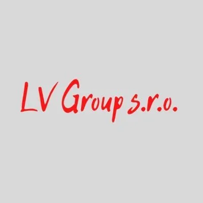 lvgroupsro.com's icon
