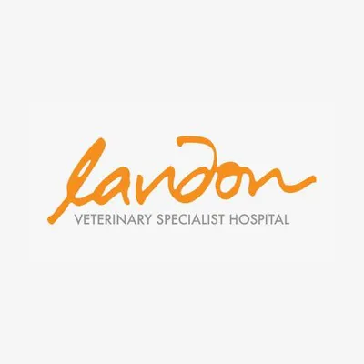 lvs.com.sg's icon