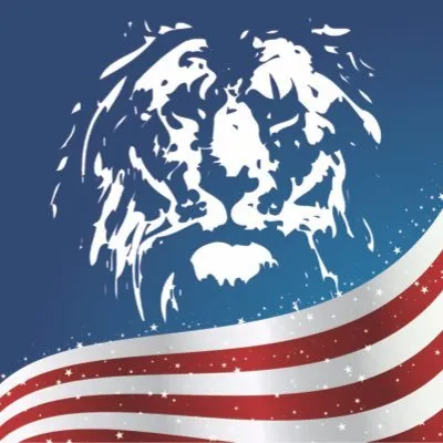 lyonauction.com's icon