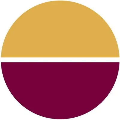 ma-shops.de's icon