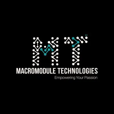 macromodule.com's icon