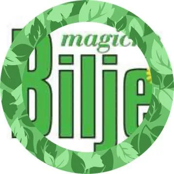 magicnobilje.com's icon