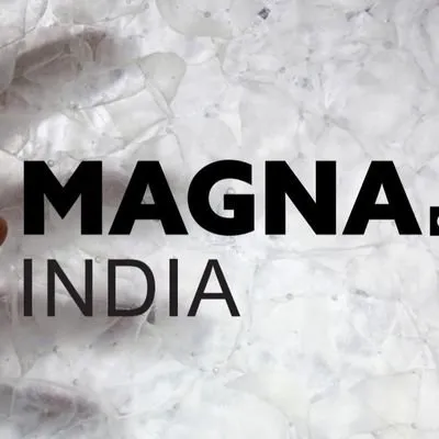 magnaindia.com's icon