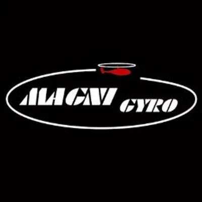 magnigyro.com's icon