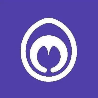 magnius.eu's icon